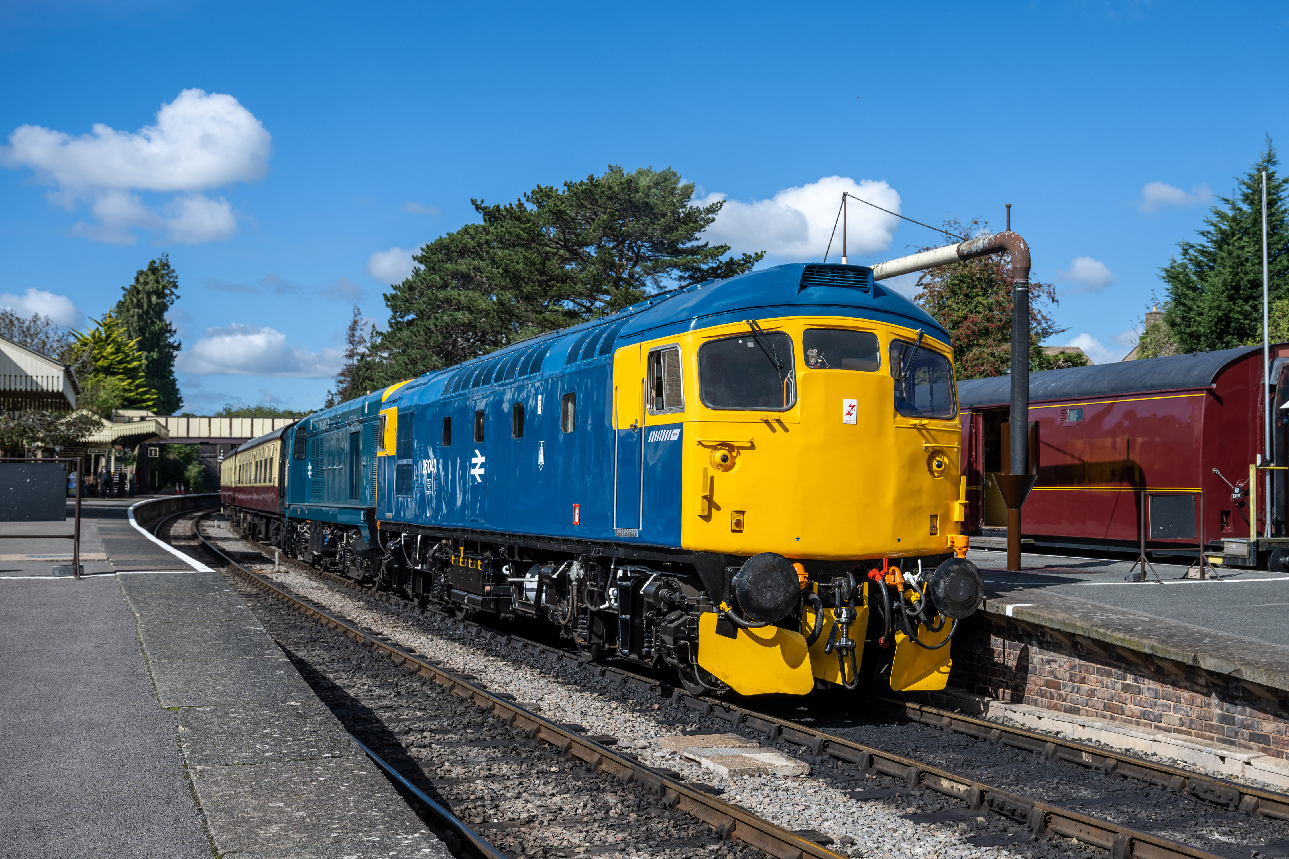  26043