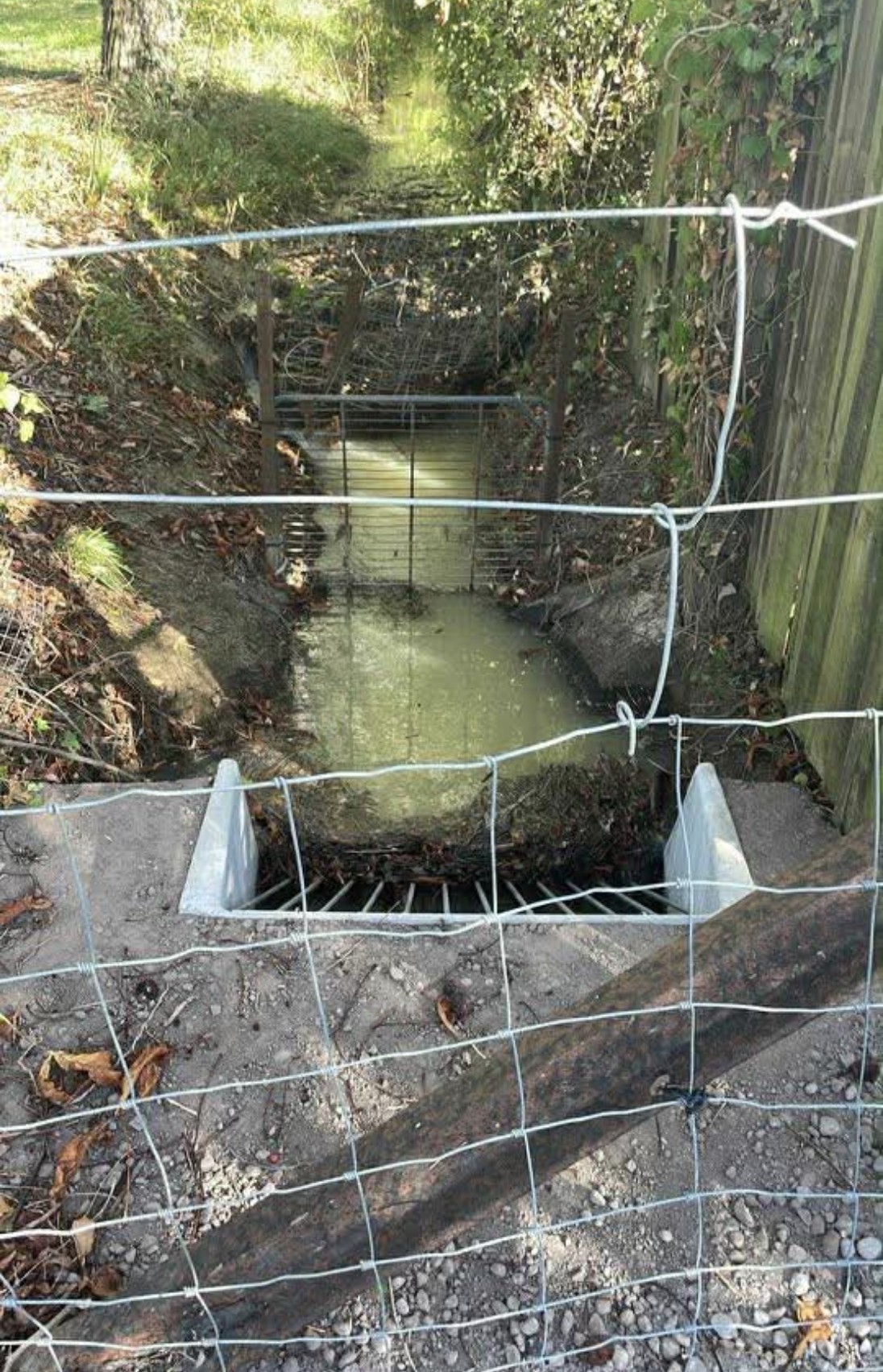 New pipe under farm access track b cleeve with water copy.png