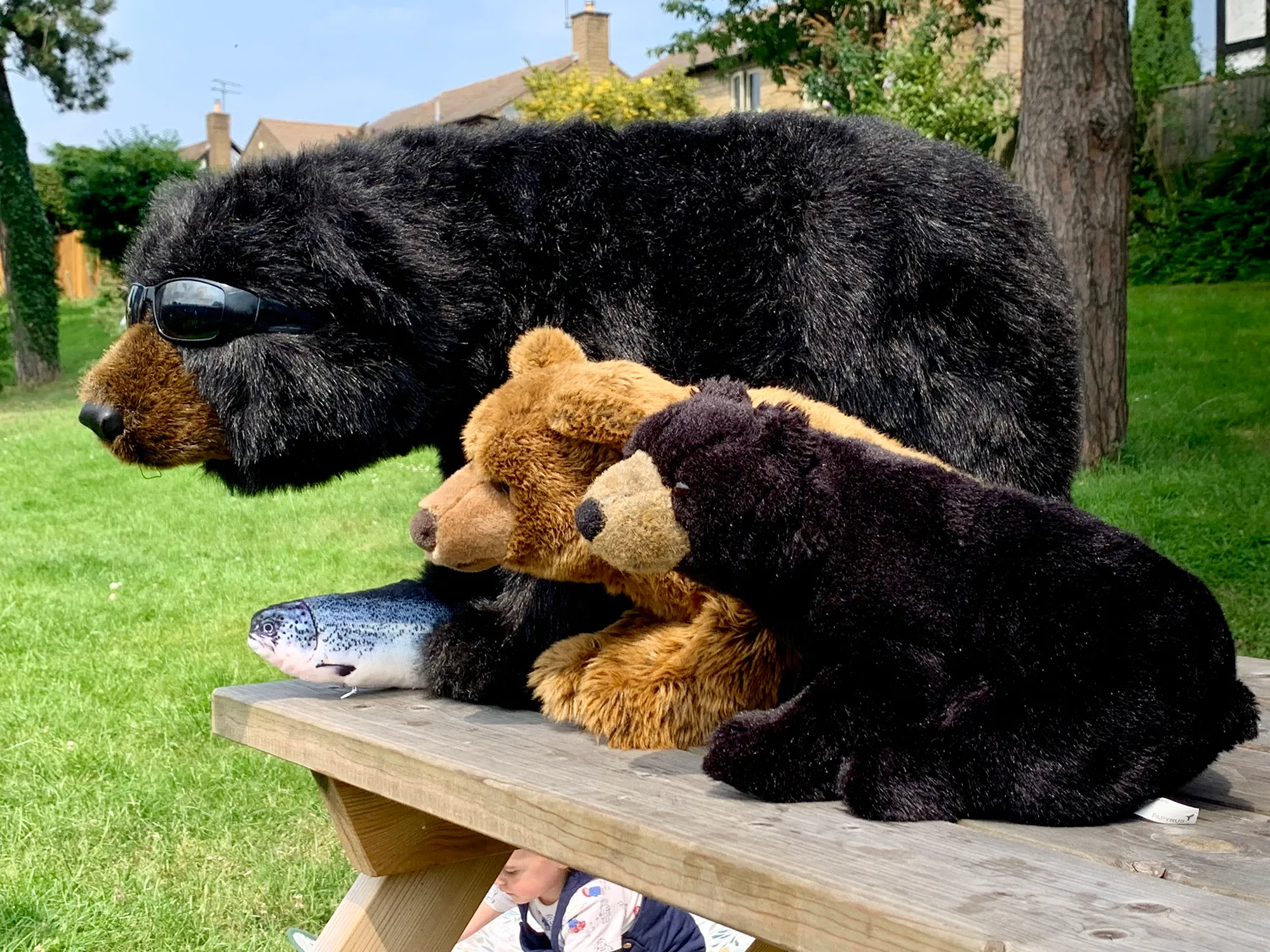 TeddyBear2.webp