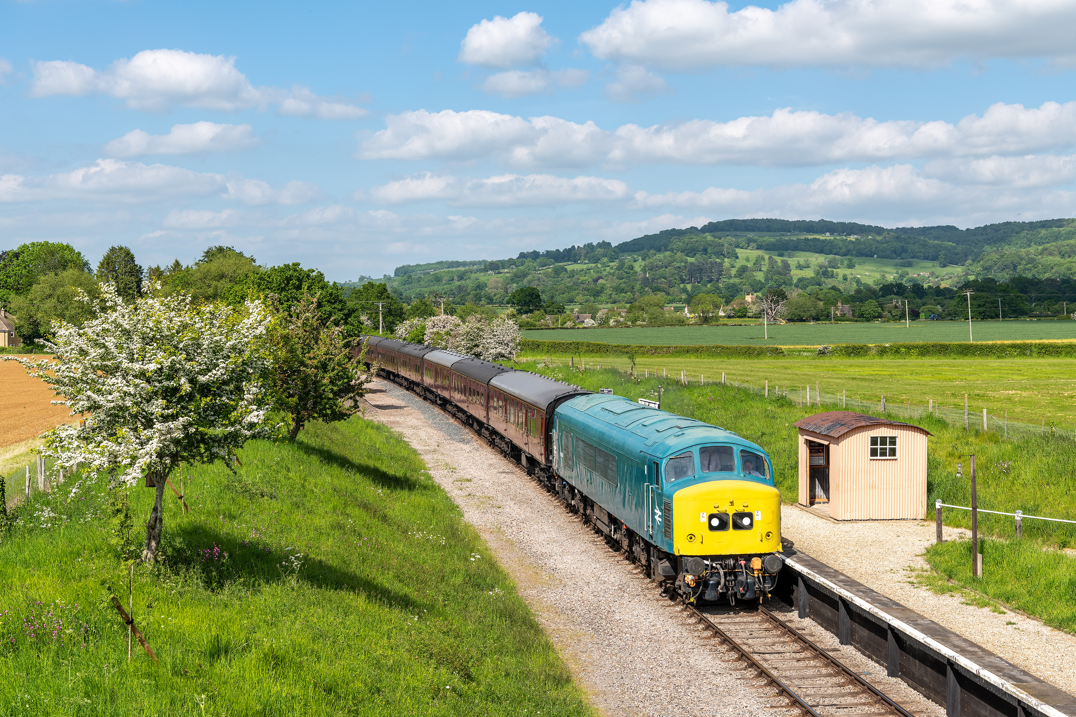 45149.hailes.gwsr.250523_rboyle.jpg